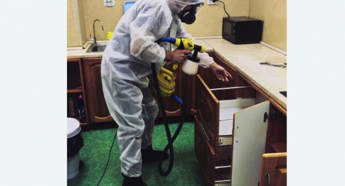 Уничтожение насекомых в квартире. Чертаново Северное