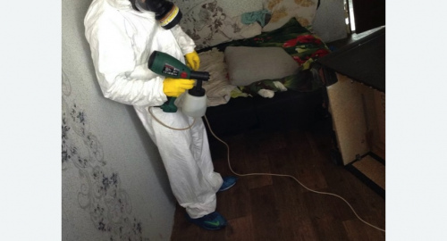 Обработка квартир от насекомых в Северном Чертаново города Москвы