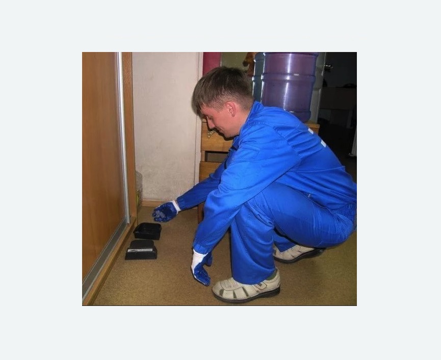 Дератизация крыс Дератизация крыс в Северном Чертаново города Москвы