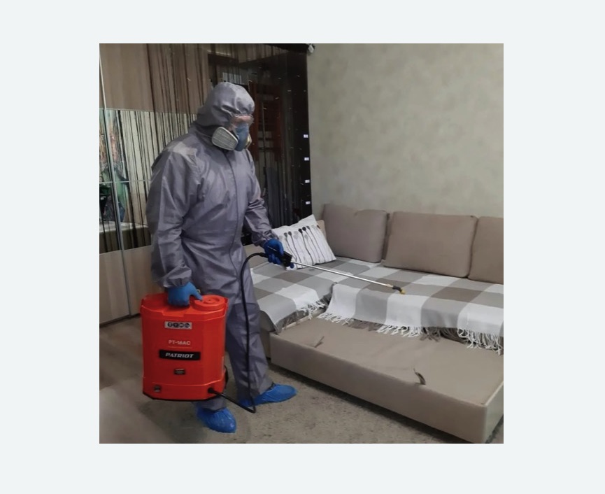 Обработка квартиры от блох в Северном Чертаново города Москвы Обработка квартиры от блох