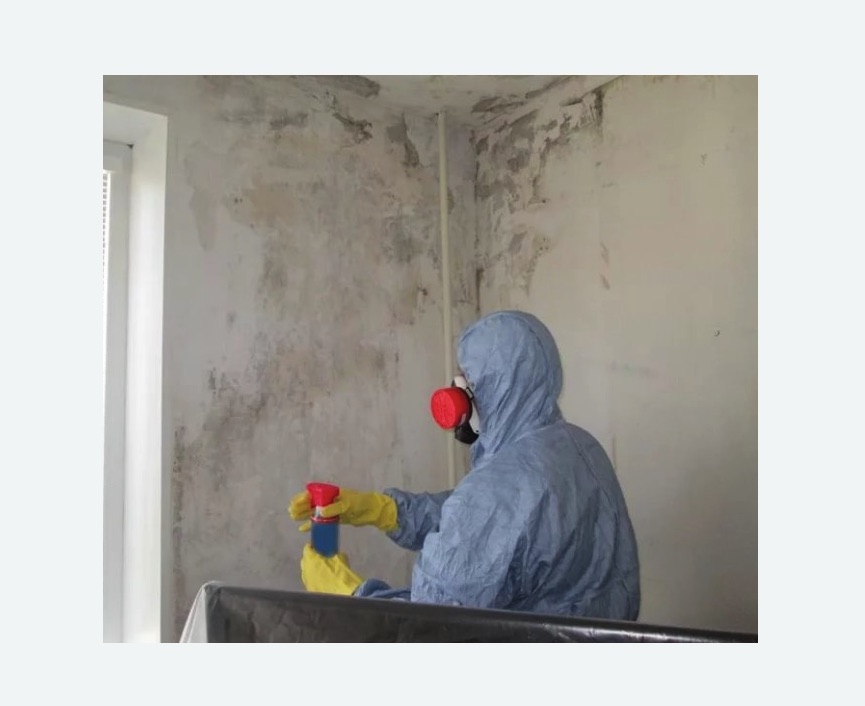 Удаление плесени в квартире Удаление плесени в квартире в Северном Чертаново города Москвы
