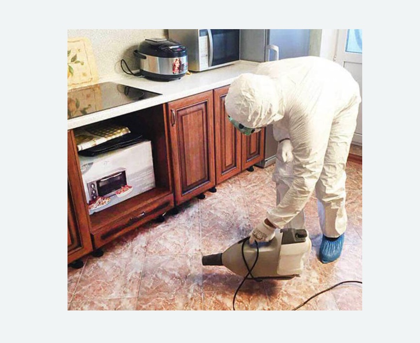 обработка квартиры от клопов в Северном Чертаново города Москвы обработка квартиры от клопов