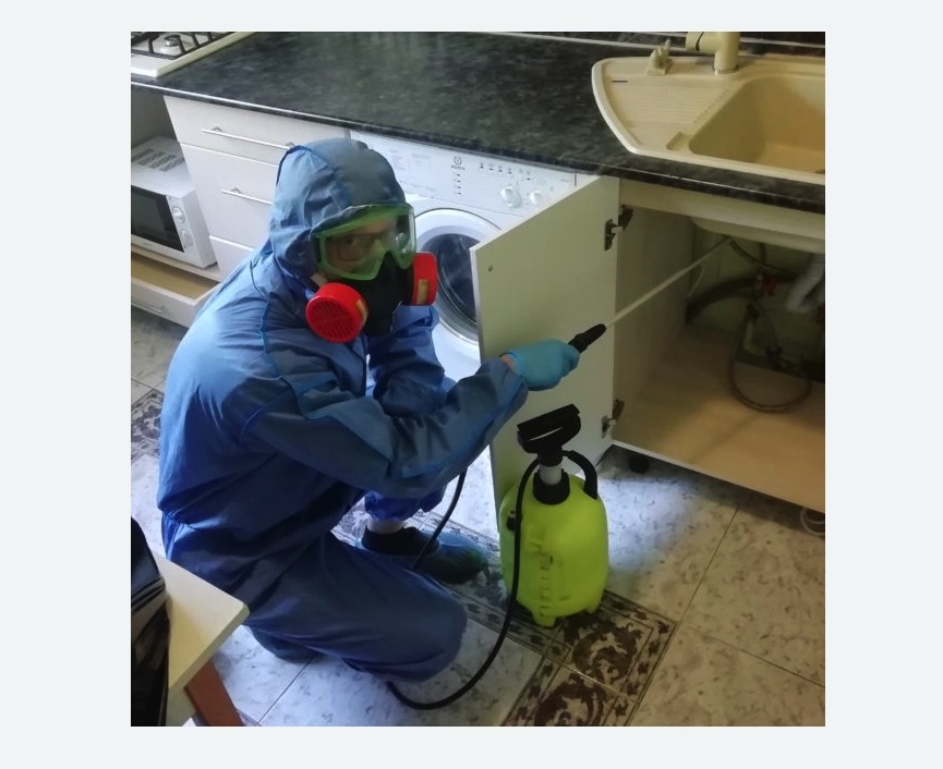 обработка от муравьев в квартире обработка от муравьев в квартире в Северном Чертаново города Москвы