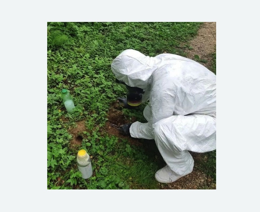 уничтожение кротов на участке уничтожение кротов на участке в Северном Чертаново города Москвы