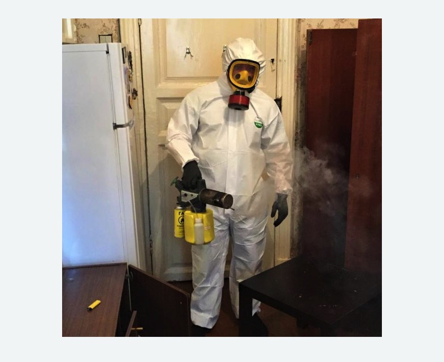 уничтожение муравьев в квартире уничтожение муравьев в квартире в Северном Чертаново города Москвы